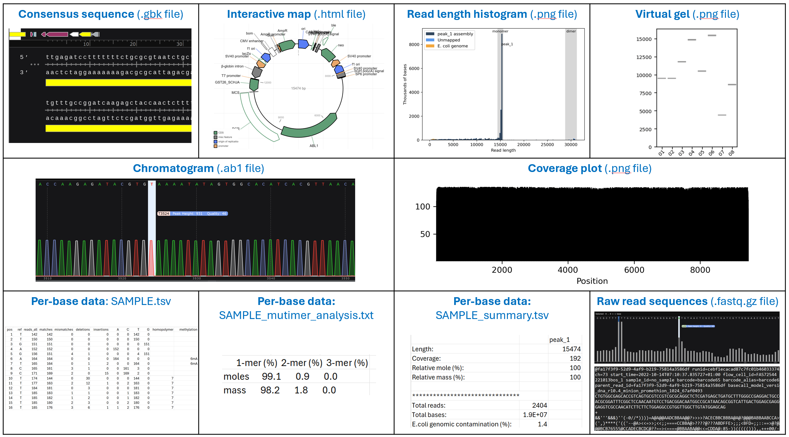 sample .fastq file